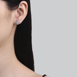 Usine en gros 0.5 CT Moissanite boucles d'oreilles passer diamant Test 925 argent Sterling Starlight reine boucles d'oreilles bijoux pour femmes - Product Image 5