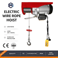 Mini-treuil électrique portable monophasé IP54 CE avec télécommande sans fil 250 kg pour entrepôt, garage, maison