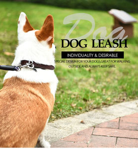 Black P Rope Durable Neueste Nylon Pet Rope Hunde leine verhindern, dass Hunde platzen - Product Image 2