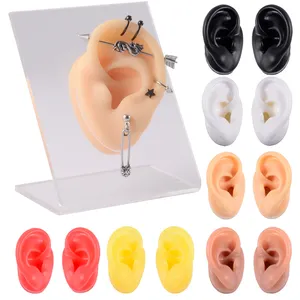 专业实践穿孔工具耳环耳钉展示身体饰品彩色硅胶耳模