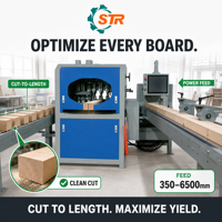 STR MP-60 Machine de découpe de bois de précision à grande vitesse Scie à coupe croisée optimale pour l'optimisation de la CNC de l'industrie du bois