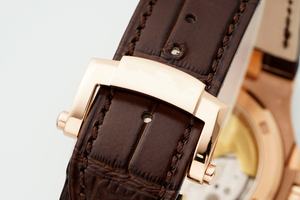 Montre mécanique étanche de qualité supérieure pour plongeur, 40 mm, mouvement ETA 324 DDF Factory, 5711, poids 101 g, or rose, bracelet PP marron - Product Image 6