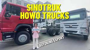 Camions bennes Isuzu 10 tonnes, camions bennes Howo Foton d'occasion, dumper pas cher - Product Image 5