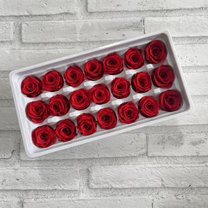 Rose éternelle conservée, 20 à 21 pièces, vente en gros, haute qualité, éternité, rose naturelle à toucher réel, conservée - Product Image 3