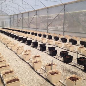 Système de potager hydroponique en seau hollandais en plastique pour la culture en pot – Fournisseur d'usine - Product Image 6