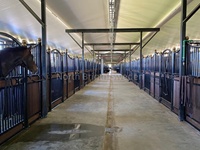 Vente flash : Écurie préfabriquée en acier galvanisé de Nouvelle-Zélande avec porte battante pour propriétaires de chevaux