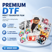 Transferts DTF lavables, autocollants DTF, autocollants de transfert thermique en plastisol, impression de motifs, transferts à repasser pour vêtements