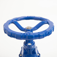 Fournisseur chinois, prix compétitif, vanne à boisseau en fonte ductile 63 mm avec volant