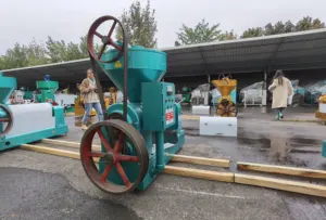 Machine de traitement d'huile de palme YZYX120, Machine de presse d'huile de tournesol à vis en vente
