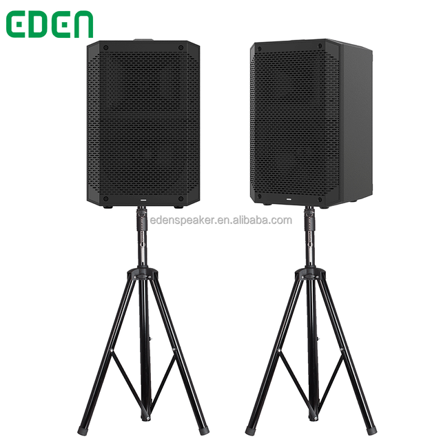 DJ Karaoke Subwoofer Professional Audio Wireless Sets PA Speaker System DSP Function Sound Box Crossover Bocina Parlant Speaker