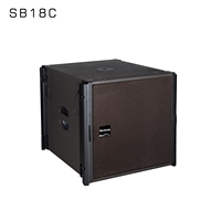 Système audio professionnel d'extérieur Boombox à réseau linéaire de 10 pouces Premium Single Series