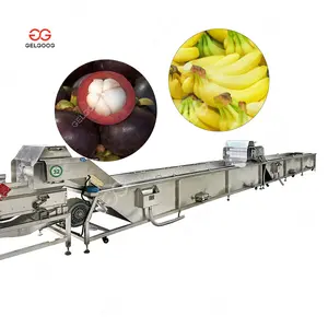 Vegetable Mangosteen Ed Fig Washing Machine and Blanching Cooling Line Electric Automatic Banana Cleaner