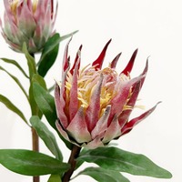 Zuid-Afrikaanse prinsesbloem, grote keizerlijke bloem, kunstbloem voor landschapsarchitectuur, bruidsboeketten, huisdecoratie