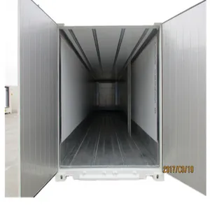 Bv Of Lr Certificaat 45ft Pallet Brede Pwr Reefer Container Over Ontploffing Vriezer Container Koude Kamer