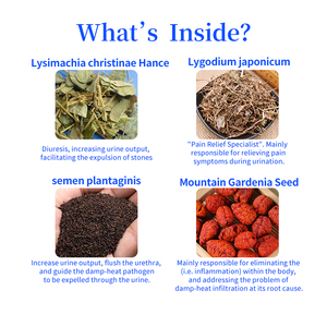 Suplementos para Perros Aprobados por Veterinarios, Suplemento Alimenticio Masticable Suave para Infecciones del Tracto Urinario y para Eliminar la Calor y la Humedad - Product Image 3