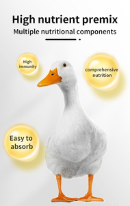 Gia cầm trứng tăng cường vịt ngỗng thức ăn lớp thức ăn gia cầm tăng Trứng chim cút thức ăn tăng trưởng vịt trứng tăng cường vitamin premix - Product Image 4