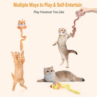 Jouet en peluche interactif pour chat, motif chat de dessin animé, renard, poulet, singe, avec son et texture froissée, pour chats d'intérieur et chatons