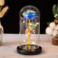 Dôme en verre plastique LED Galaxy Rose fleur colorée cadeau d'anniversaire de mariage Saint Valentin