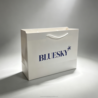 Sacs en papier personnalisés de luxe OEM/ODM pour vêtements et bijoux, sacs cadeaux en papier blancs personnalisés pour le shopping et les cosmétiques