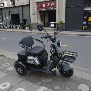 La Chine a fait des passagers âgés en vente 600W/800W tricycle électrique à 3 roues pour adulte - Product Image 2