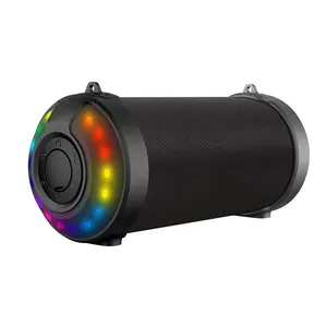 Sk841Bt Havit 8W Garden Party En Plein Air Haut-parleurs Rgb Lumière Portable Personnalisé BT Haut-Parleur Sans Fil Avec Voix Assistant