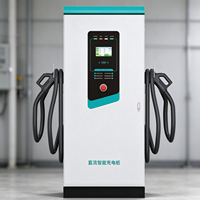 Chargeur rapide DC de 60 kW à 160 kW, station de recharge pour véhicules électriques à double connecteur, écran tactile, sur pied, pour utilisation en flotte routière
