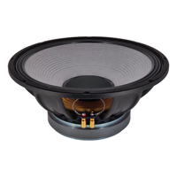 Caisson de basses stéréo dynamique de 15 pouces 800W Bobine vocale de 4 pouces 8 ohms pour les fêtes en plein air Événements de karaoké