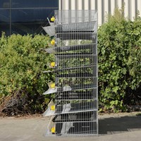Cage d'élevage de cailles à usage intensif pour l'intérieur à vendre