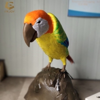 Sja03 — perroquet animalier personnalisé, modèle d'animal, oiseau neuf, en vente