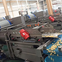 Máquina de Lavado de Apio y Repollo, Trituradora de Patatas, Limpieza por Vórtice, Planta Multifuncional de Procesamiento de Vegetales, Acero Inoxidable de Grado Alimenticio