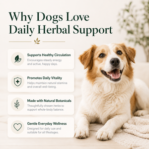 Suplemento Premium para la Salud Sanguínea de Perros con Vitamina B12 y Baya de Espino para la Vitalidad Diaria y Apoyo a la Circulación, Cuidado de Mascotas - Product Image 4