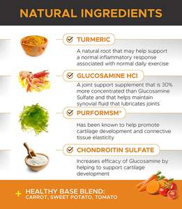 Toptan köpek sağlıklı eklemler takviyesi glukozamin zerdeçal MSM kondroitin sülfat kemikleri Pet anti-inflamatuar kabartma - Product Image 3