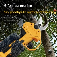 Ensemble d'outils électriques sans fil, batterie au lithium 21V, tondeuse à gazon portable pour jardin extérieur, scie à chaîne électrique industrielle