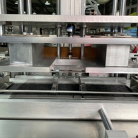 Machine d'emballage automatique à double poussée HY-200 pour l'emballage rapide de gants et de semelles intérieures