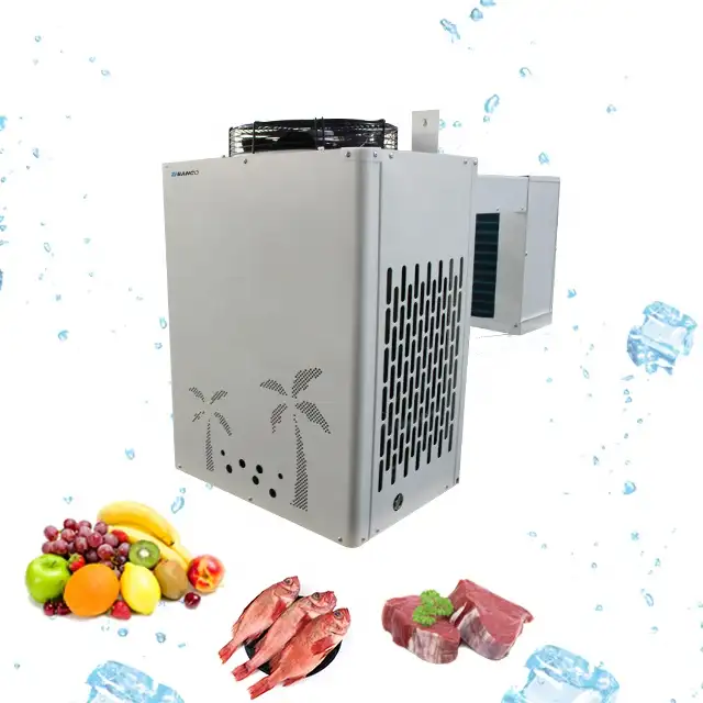 Unité de réfrigération commerciale avec cellules monobloquantes, Mini appareil de stockage à froid/réfrigération industriel