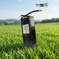 Batterie de drone au lithium polymère LEADYO LP6S16Ah 22.2V 6S 16000mAh 70C pour UAV et drone avec connecteurs XT90/XT60