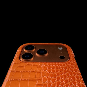Nouveau motif Crocodile coque de téléphone pour iPhone 17 16 Pro Max <span class=keywords><strong>Internet</strong></span> célébrité vente chaude coque de téléphone pour iPhone 17 16 Pro Max - Product Image 5