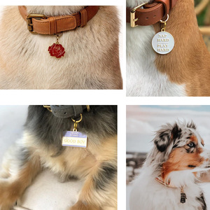 All'ingrosso etichette personalizzate in acciaio inossidabile per animali domestici con <span class=keywords><strong>nome</strong></span> inciso personalizzato divertente Logo gioiello ciondolo Charm per cani - Product Image 5