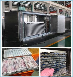 <span class=keywords><strong>Frutti</strong></span> <span class=keywords><strong>di</strong></span> <span class=keywords><strong>mare</strong></span> congelati Piatto Freddo Freezer per Filetto <span class=keywords><strong>di</strong></span> Pesce e Gamberetti - Product Image 6