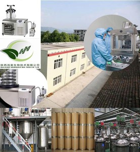 ЕС корень куркумы высокого качества органический порошок куркумы - Product Image 6