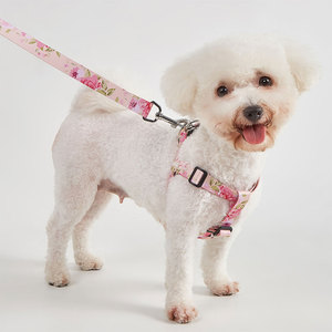 Conjunto de Arnés y Correa para Perro con Estampado Floral, Cierre de Hebilla Ajustable, Talla Pequeña, Estilo Adorable para Perros - Product Image 5