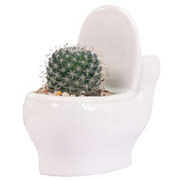 Pot de fleurs en céramique pour femme, Pot de fleurs succulentes, Cactus, pour décoration de maison, bureau, vente en gros