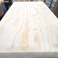 Lámina de Madera Contrachapada de Abedul Impermeable de 18 mm, 15 mm, 12 mm, 9 mm, CDX Moderno E0