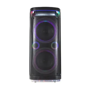 T High Quality 50W LED Light Portable Portatil Double 8 Inch Woofer Altavoz Trolley Box Party Speaker With USB/TF Card input