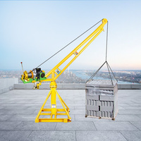 Mini-grue de levage 300 kg pour la construction domestique