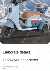 Nouveau modèle de tricycle électrique ouvert pour usage domestique, petit vélo à batterie pour femmes, idéal pour transporter des enfants, véhicule de transport pour adultes et seniors - Product Image 4