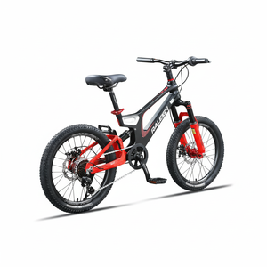 NOUVEAU Vélo VTT Enfant 2026 en Alliage de Magnésium, Double Suspension, Freins à Disque, 7 Vitesses, 20 Pouces, pour Garçons et Filles, Cross-Country - Product Image 5