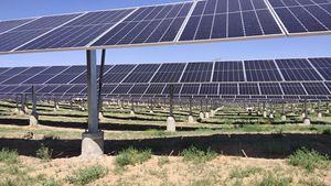 調整可能な角度ソーラーパネル取り付けブラケットピッチ付き屋根と平らな屋根設置ソーラー<span class=keywords><strong>GPS</strong></span>トラッカー牛へ - Product Image 6