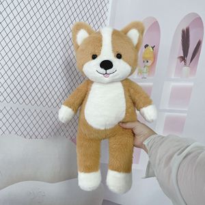 Gusci di Orso in Poliestere e Cotone PP Non Finiti, Assortiti, per Giocattoli Animali Fai-da-Te, Unisex, per Bambini, San Valentino - Product Image 1
