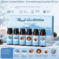 Coffret cadeau d'huiles essentielles d'aromathérapie d'hiver, huiles parfumées relaxantes, utilisation en diffuseur pour spa à domicile